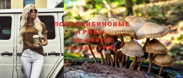 МДПВ Алагир